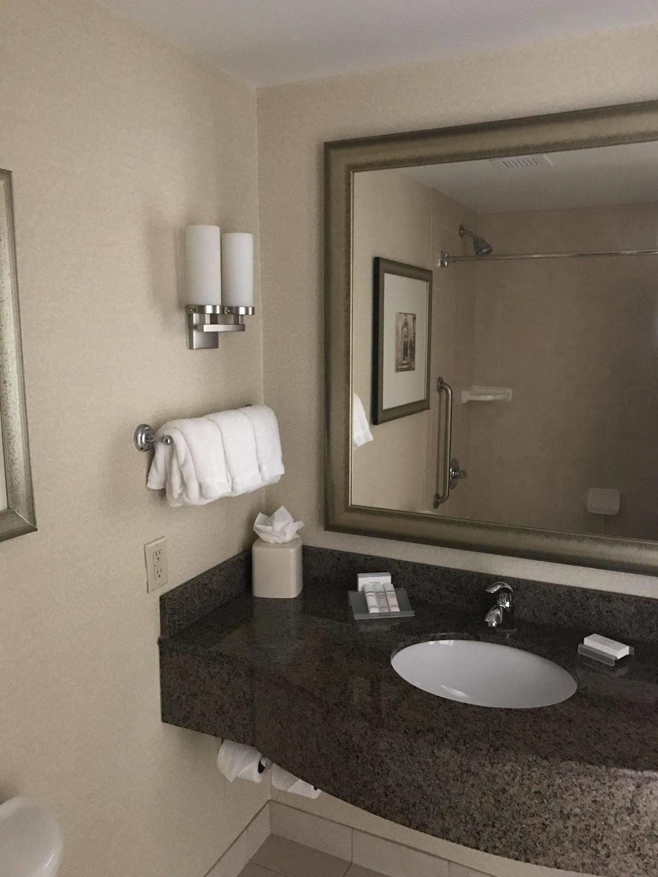 Hilton Garden Albany-suny Area Hotel Albany