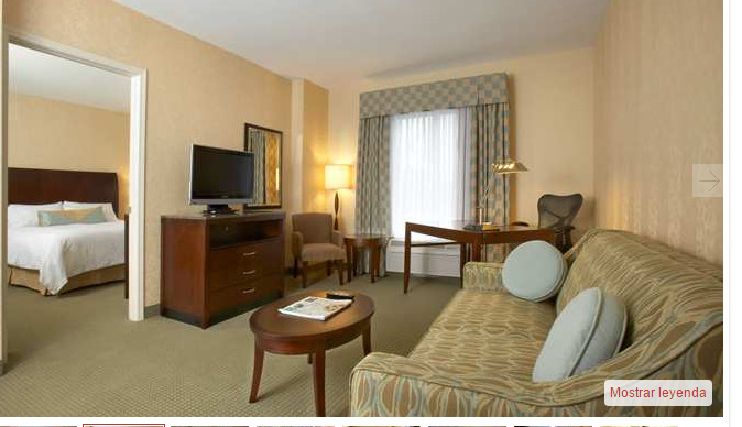 Hilton Garden Albany-suny Area Albany